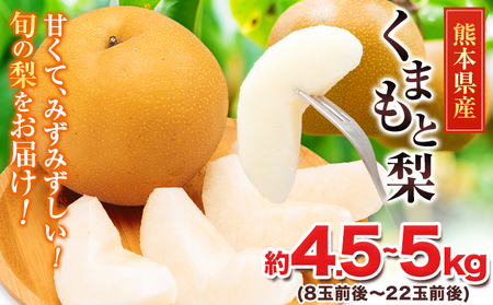 くまもと梨 約5kg 梨 熊本県産　《8月下旬-11月中旬頃出荷予定》