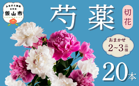 芍薬 切花 おまかせ2〜3品種 20本セット【2026年5月上旬より出荷】(Ca-001)