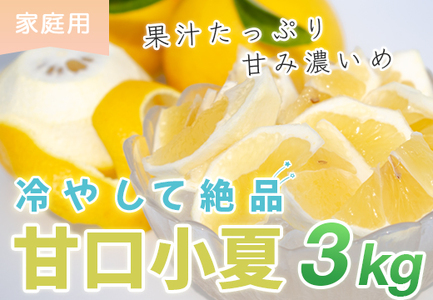 甘口 小夏 3kg 家庭用 日向夏 ニューサマーオレンジ くだもの 果物 旬の果物 高知県 大月町