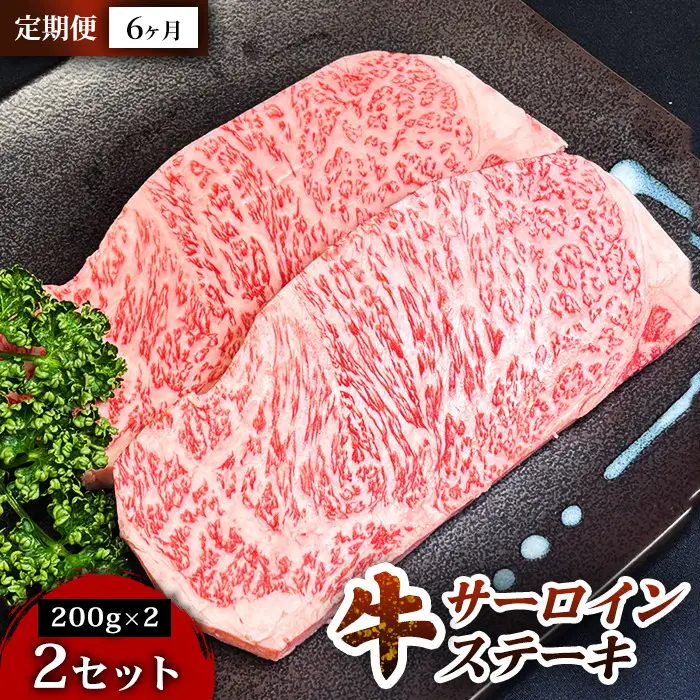 【定期便6ヶ月】仙台牛サーロインステーキ（200g×2枚） 2セット ステーキ