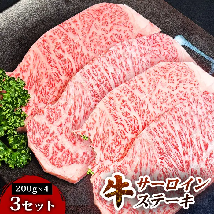 仙台牛サーロインステーキ（200g× 4枚） 3セット ステーキ