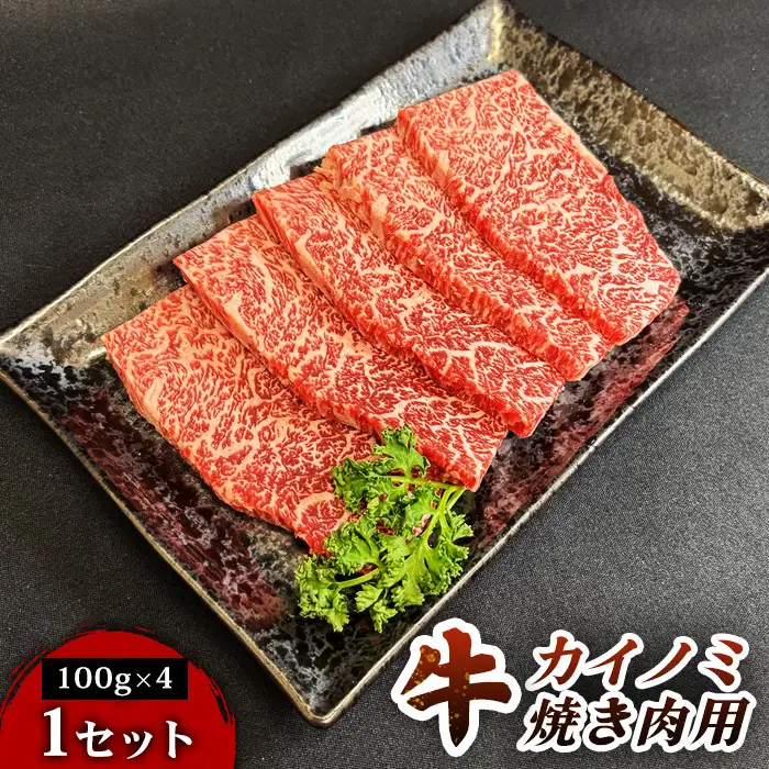 仙台牛カイノミ焼き肉用（100g×4パック） 1セット 仙台牛