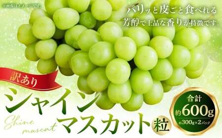 （訳あり） シャインマスカット粒 約600g（約300g×2パック） シャインマスカット マスカット ぶどう ブドウ 葡萄 果物 くだもの フルーツ 常温 【2026年8月上旬～9月下旬迄発送予定】