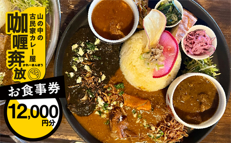【咖喱奔放】食事券（12,000円分）【a035-3】