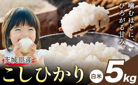米 こしひかり 白米 茨城 ふるさと米 5kg《1-5日以内に出荷予定(土日祝除く)》 茨城県 結城市 米 国産 お米 おこめ お弁当 おにぎり
