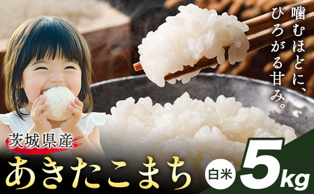 米 あきたこまち 白米 茨城 ふるさと米 5kg《1-5日以内に出荷予定(土日祝除く)》 茨城県 結城市 米 国産 お米 おこめ お弁当 おにぎり