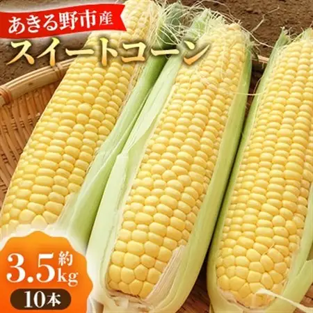 あきる野市産とうもろこし　10本(2026年7月発送開始)【配送不可地域：離島・沖縄県】【1623819】