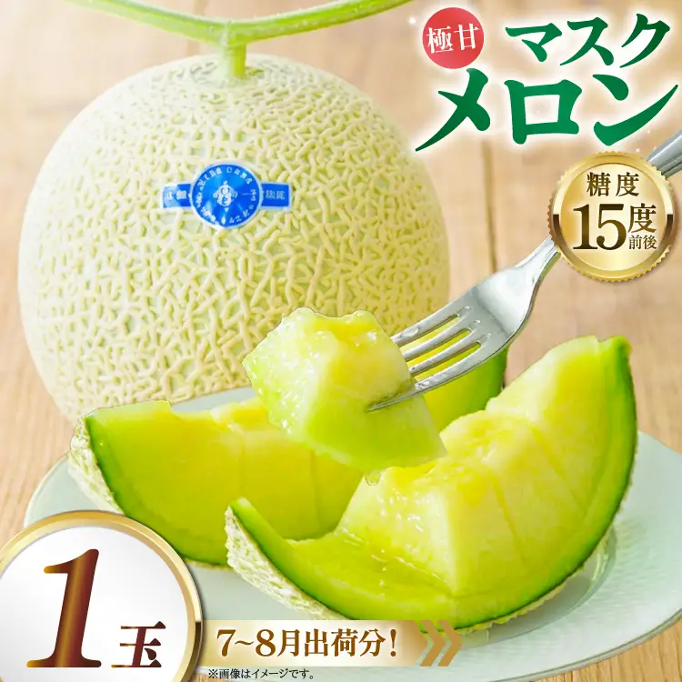 AJ650 【令和8年7-8月出荷分】 堀農園 マスクメロン 1玉