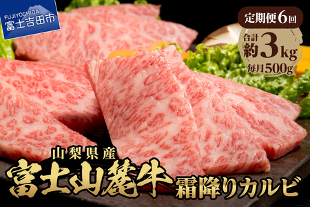 牛肉 【6ヶ月お届け】山梨県産 富士山麓牛 霜降りカルビ 500g 定期便