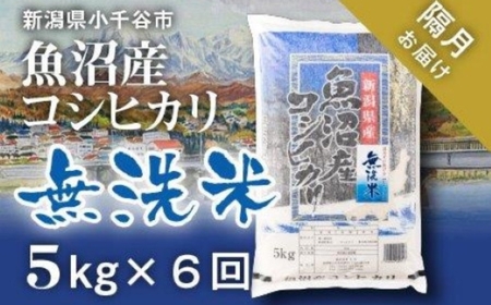 先行予約 魚沼産コシヒカリ 無洗米 30kg 新潟県 |おこめ 5キロ×6回 隔月 定期便 特A評価 無洗