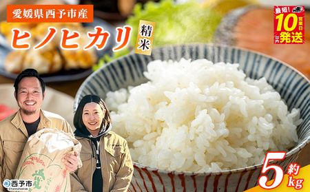 ＜令和7年産 西予市産 ヒノヒカリ 精米 約5kg＞ 選べる 内容量 ひのひかり お米 米 コメ こめ 白米 国産米 単一原料米 ご飯 5キロ お弁当 雑穀 特産品 愛媛県産 株式会社宇都宮米穀 愛媛県 西予市【常温】『最短10営業日以内に順次出荷予定』NKU0011
