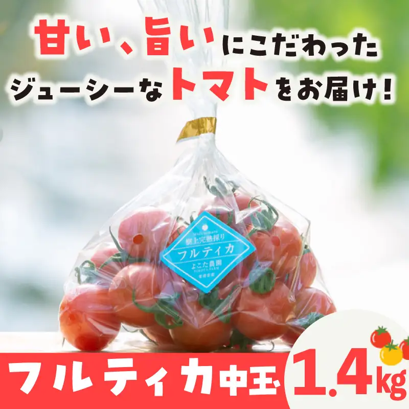 【5月中旬以降発送】フルーツトマト　中玉フルティカ1.4kg