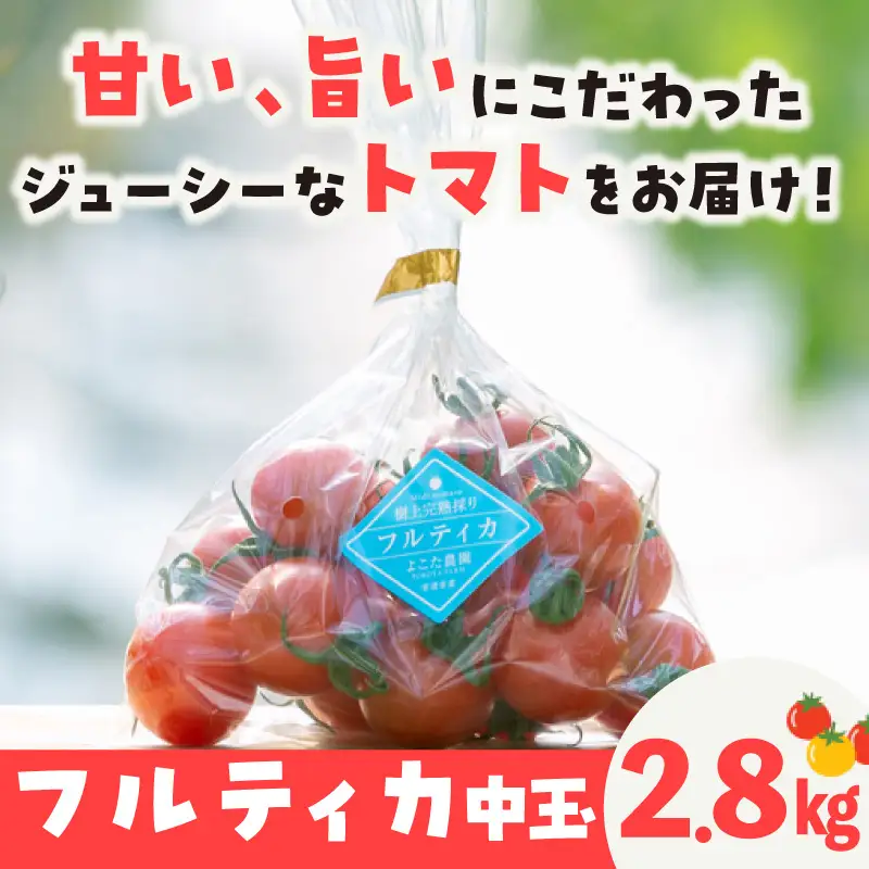 【5月中旬以降発送】フルーツトマト　中玉フルティカ2.8kg
