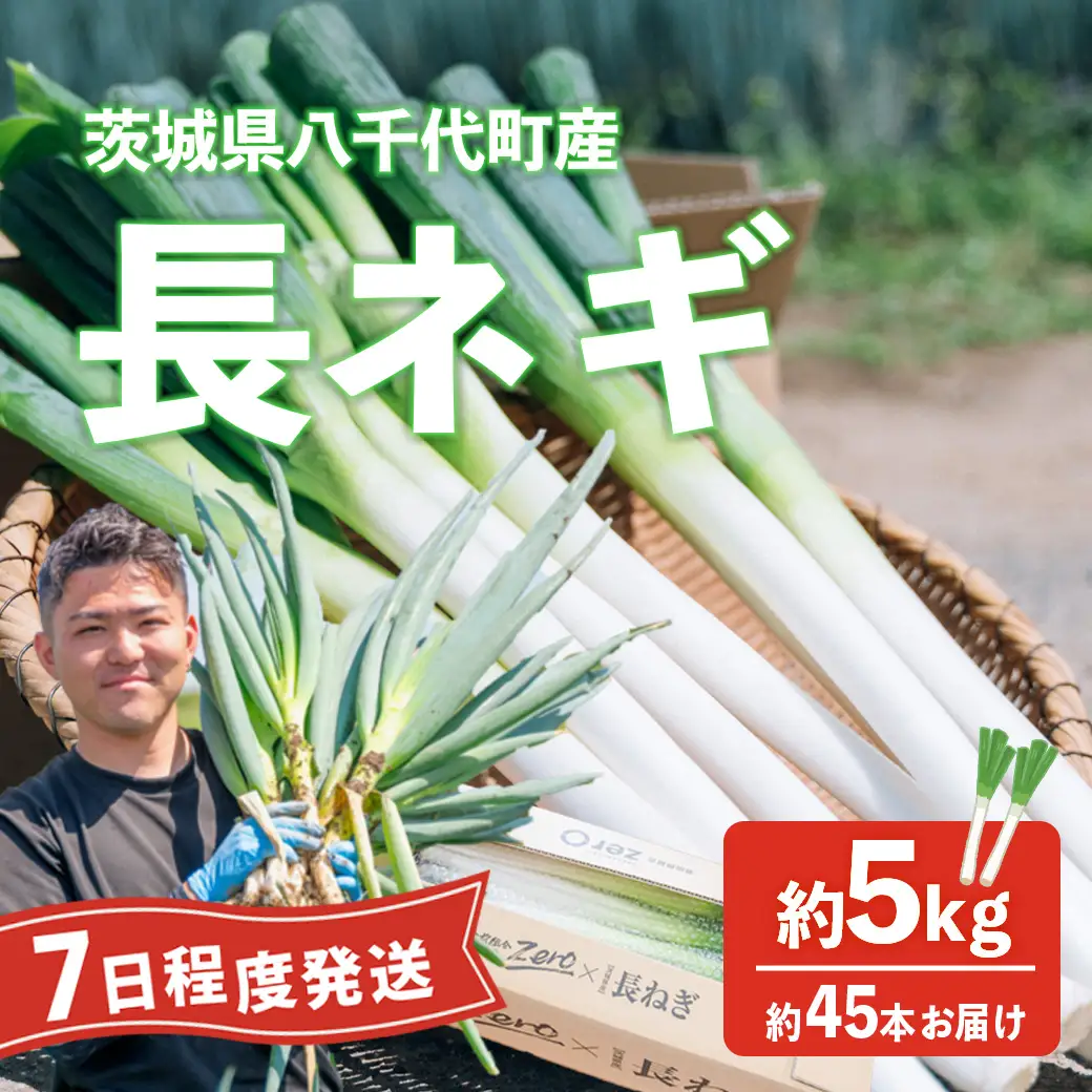 長ネギ 約5kg 約45本 スピード発送 農家直送