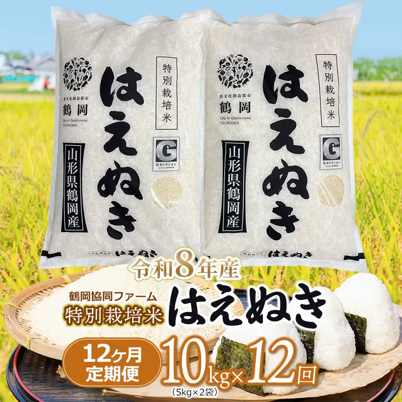 【令和8年産先行予約】 特別栽培米はえぬき 精米10kg (5kg×2袋)×12ヶ月【定期便】　鶴岡協同ファーム
