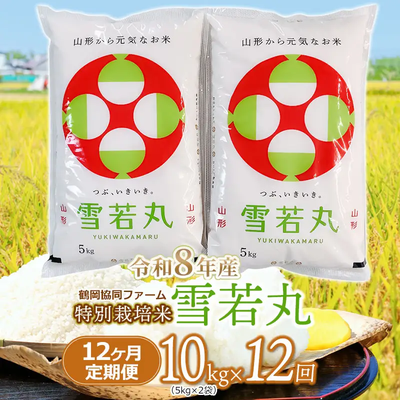 【令和8年産先行予約】 特別栽培米雪若丸 精米 10kg (5kg×2袋) ×12ヶ月【定期便】 山形県鶴岡産　鶴岡協同ファーム