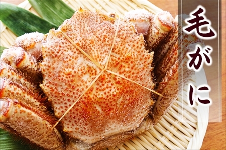 毛がに約500～600g×1尾 A-32045