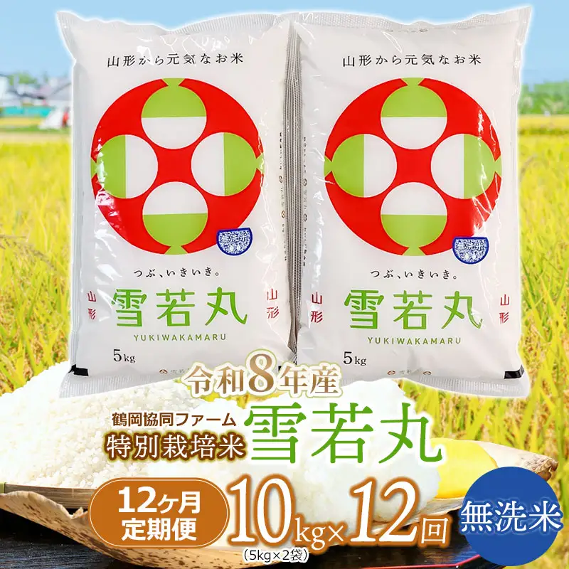 【令和8年産先行予約】 特別栽培米雪若丸　無洗米 10kg (5kg×2袋) ×12ヶ月【定期便】 山形県鶴岡産　鶴岡協同ファーム