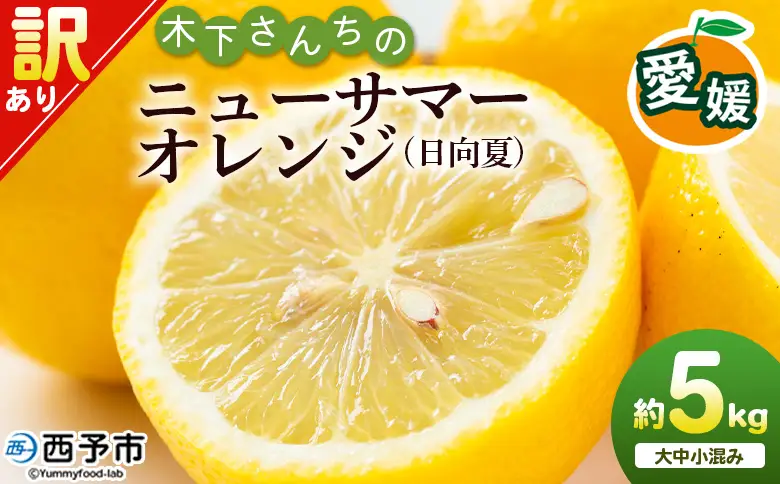 ＜木下さんちのニューサマーオレンジ 訳あり 約5kg（大中小サイズ混み）＞ 柑橘類 日向夏 ミカン 蜜柑 果物 くだもの フルーツ 国産 特産品 木下農園 愛媛県 西予市【常温】『2027年4月上旬～5月中旬に順次出荷』MKS0007
