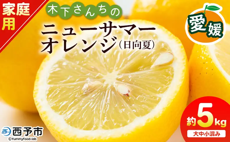 ＜木下さんちのニューサマーオレンジ 家庭用 約5kg（大中小サイズ混み）＞ 柑橘類 日向夏 ミカン 蜜柑 果物 くだもの フルーツ 国産 特産品 木下農園 愛媛県 西予市【常温】『2027年4月上旬～5月中旬に順次出荷』MKS0009