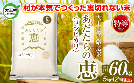 【定期便】大玉村産厳選米「あだたらの恵」特等　（品種：コシヒカリ）60kg（5kg×12回） | on-akt-5kg-t12-r7