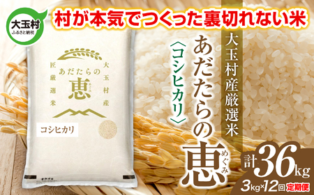 【定期便】大玉村産厳選米「あだたらの恵」　（品種：コシヒカリ）36kg（3kg×12回） | on-ak-3kg-t12-r7