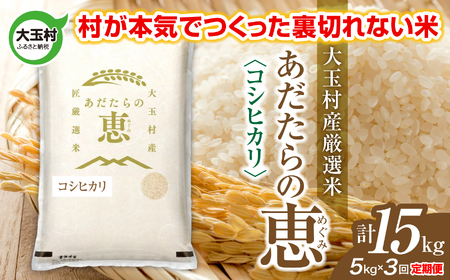 【定期便】大玉村産厳選米「あだたらの恵」　（品種：コシヒカリ）15kg（5kg×3回） | on-ak-5kg-t3-r7