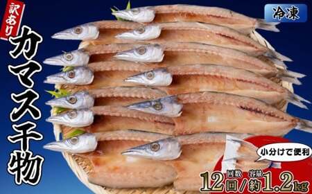 カマスの干物 6袋（約12尾） 【12回分】干物