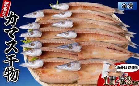 カマスの干物 15袋（約30尾）【1回分】干物