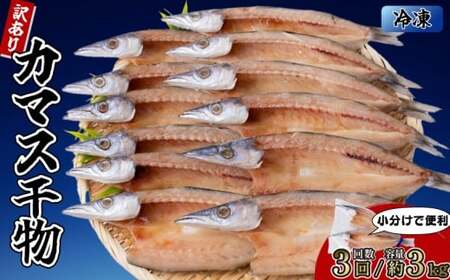 カマスの干物 15袋（約30尾）【3回分】干物