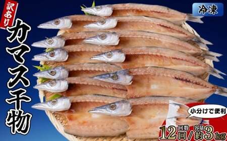 カマスの干物 15袋（約30尾）【12回分】干物