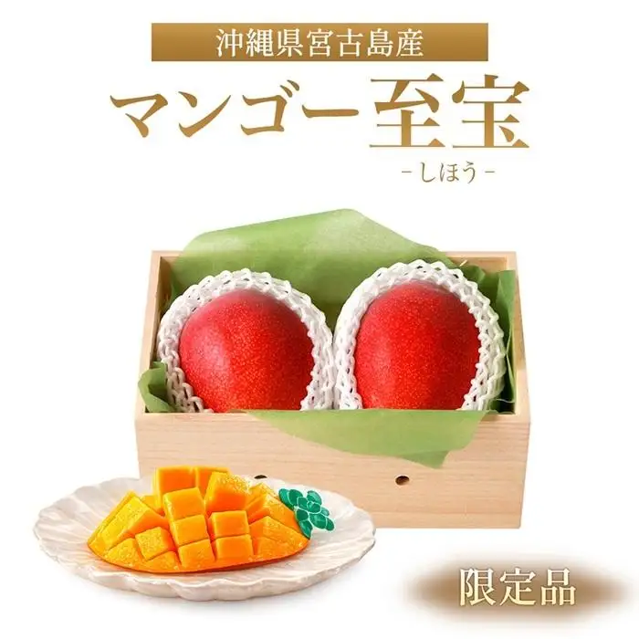 沖縄宮古島産 プレミアムマンゴー「マンゴー至宝（しほう）」（琉球マルシェ）