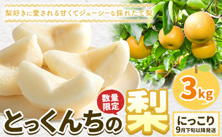 【2026年先行予約】とっくんちの梨 にっこり 約3kg 鈴木農園《9月下旬-10月中旬頃出荷》茨城県 結城市 数量限定 果物 フルーツ 甘み ジューシー 豊か 芳香 しゃりっ 爽やかな 季節【配送不可地域あり】(離島)