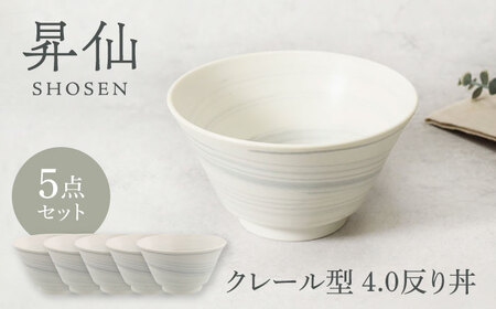 【美濃焼】昇仙 しょうせん クレール型 4.0反り丼 5点セット【カネ定製陶】[MEI232]