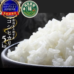 令和8年産【10月下旬配送】 新米 先行予約 新潟県産 コシヒカリ 5kg 最高品質のお米を追求し続ける 篠宮農場 上越市 精米