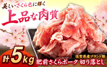 肥前さくらポーク 切り落とし 500g × 10パック 計 5kg 切り落とし 豚 豚肉 大容量 吉野ヶ里町/上場食肉[FDQ008]