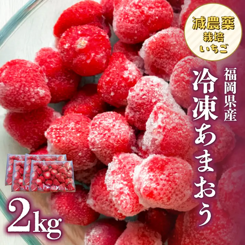 冷凍いちご 500g×4パック 【大月いちご園】 イチゴ 苺 あまおう 冷凍 2kg 大容量 果物 九州 国産 フルーツ スムージー ジャム 福岡県 八女市 210-003