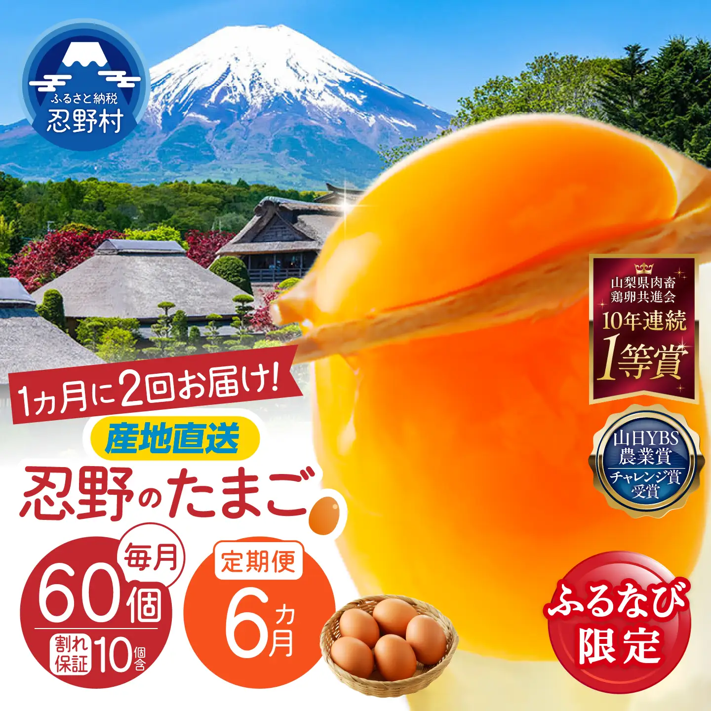 【ふるなび限定】【月2回お届け・6ヶ月定期便】”忍野の卵”コクの赤玉30個×12回 ※割れ保証含む　FN-Limited-SP