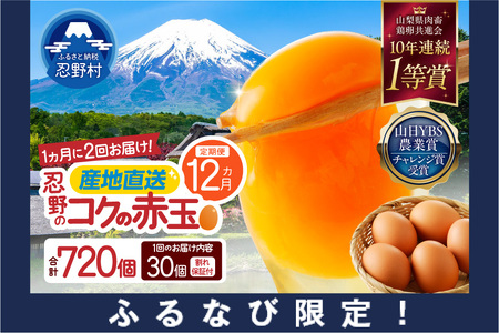 【ふるなび限定】【月2回お届け・12ヶ月定期便】”忍野の卵”コクの赤玉30個×24回 ※割れ保証含む　FN-Limited-SP