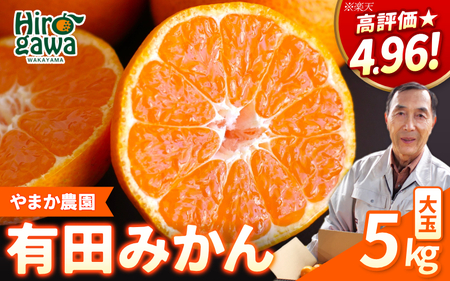 有田 みかん 大玉 5kg / 温州みかん 有田みかん 甘い 和歌山 柑橘 ※2026年12月上旬～翌年1月中旬に順次発送 【ymk004-5-2l】