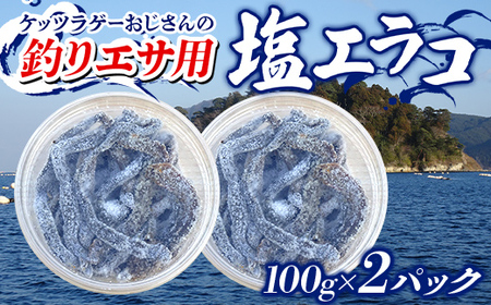 釣りエサ 用 塩エラコ 100g×2パック 釣り用エサ 環形動物 岩手県 三陸山田 山田町 YD-1038