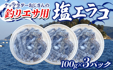 釣りエサ 用 塩エラコ 100g×3パック 釣り用エサ 環形動物 岩手県 三陸山田 山田町 YD-1039