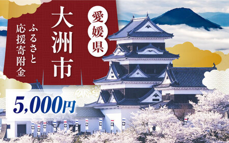 大洲市への寄附　5，000円　【返礼品なし】　[AGXX033]