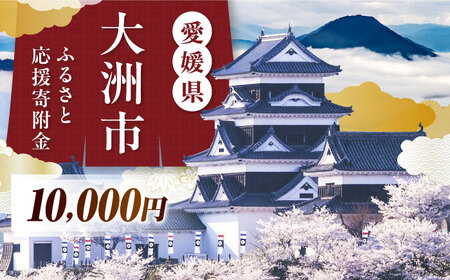 大洲市への寄附　10，000円　【返礼品なし】　[AGXX034]