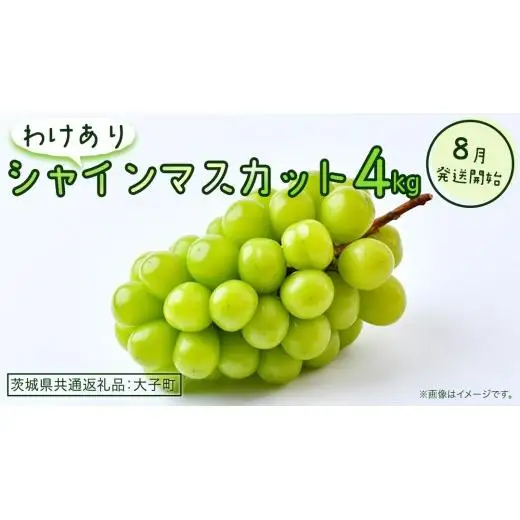 【 訳あり 】 シャインマスカット 4kg 【2026年8月発送開始】(茨城県共通返礼品：大子町)
