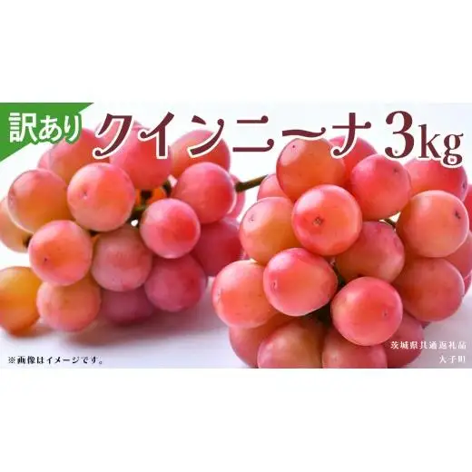 【 訳あり 】 クインニーナ 3kg 【2026年9月発送開始】(茨城県共通返礼品：大子町)