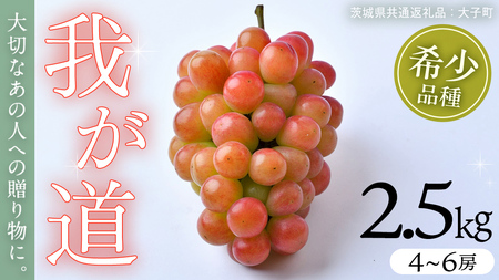我が道 2.5kg (4～6房)【2026年8月下旬発送開始】(茨城県共通返礼品：大子町)