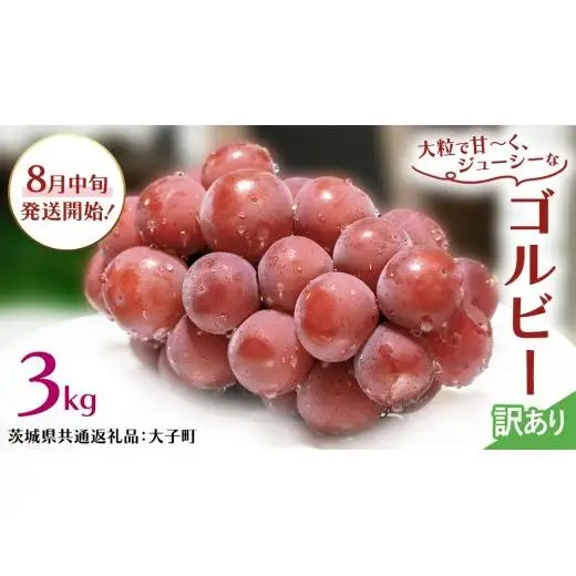 【 訳あり 】 ゴルビー 3kg 【2026年8月中旬発送開始】(茨城県共通返礼品：大子町)