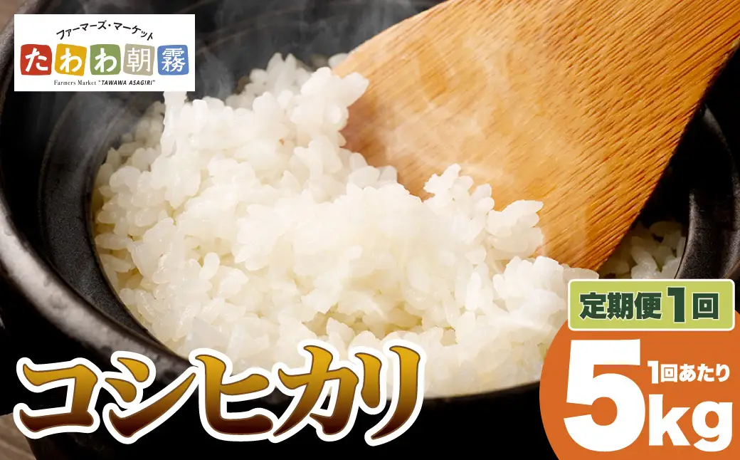 令和7年産 コシヒカリ 5kg 精米 白米
