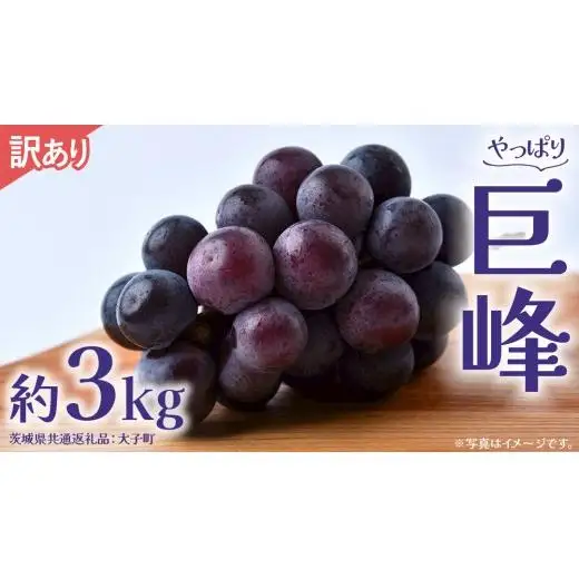 【 訳あり 】 巨峰 3kg 【2026年9月発送開始】(茨城県共通返礼品：大子町)